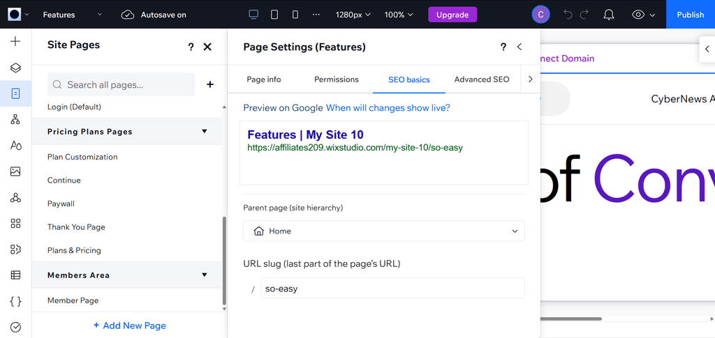 wix custom url settings