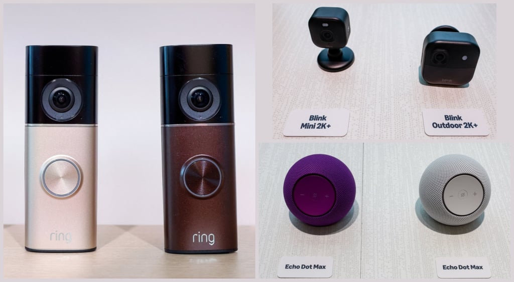 Ring, Blink,
