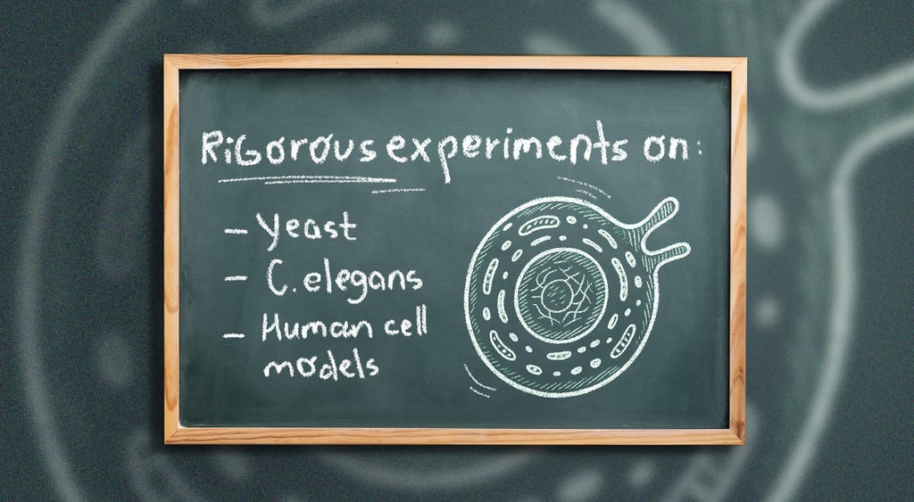 school greenboard in wood frame, yeast, c.legans, human cell models written with chalk
