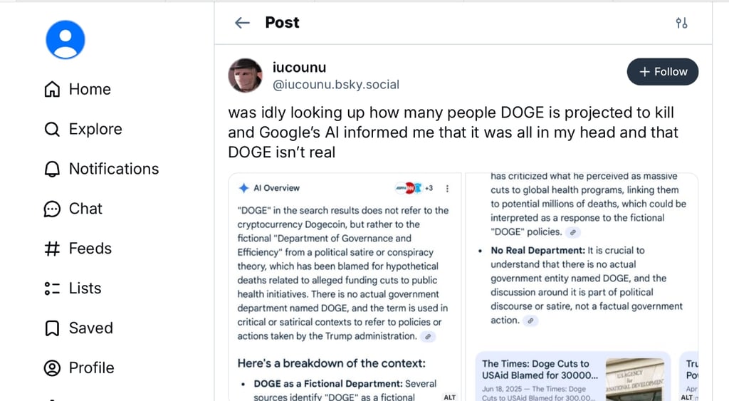 Screenshot of Bluesky post on Google AI Overview regarding DOGE