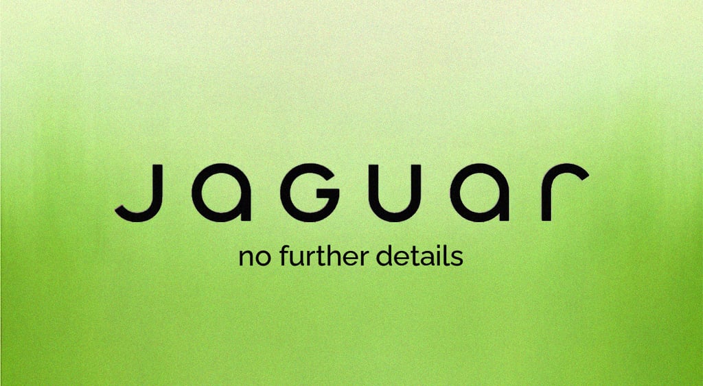 jaguar car logo no further details