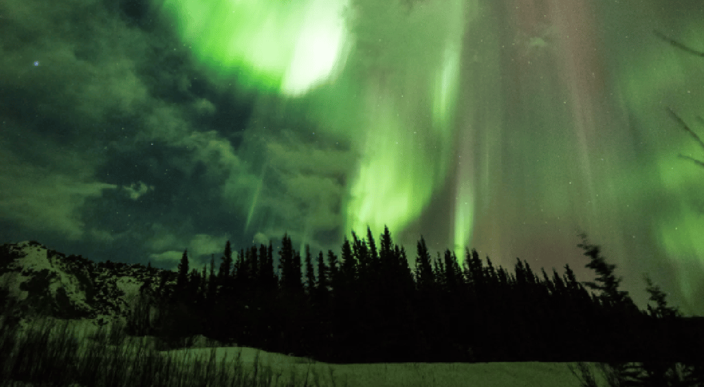 green cloudy sky, strong ray of green light, black forest, aurora