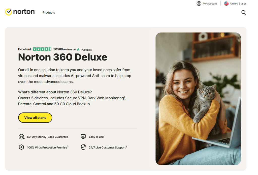 Norton home page