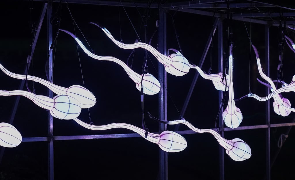 sperm-lights