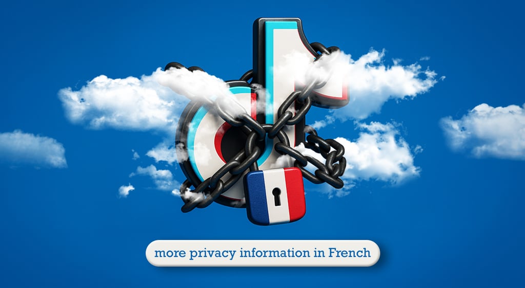 tiktok logo safelock france flag