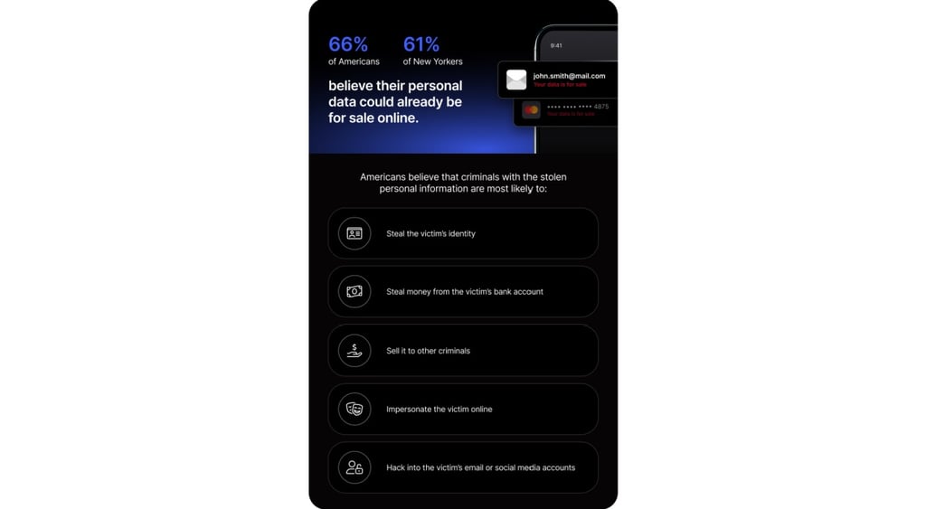NordVPN survey- beliefs about criminals and personal data