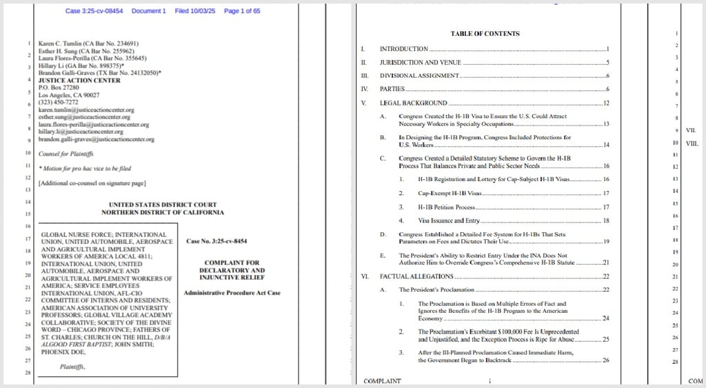 H-1B court documents