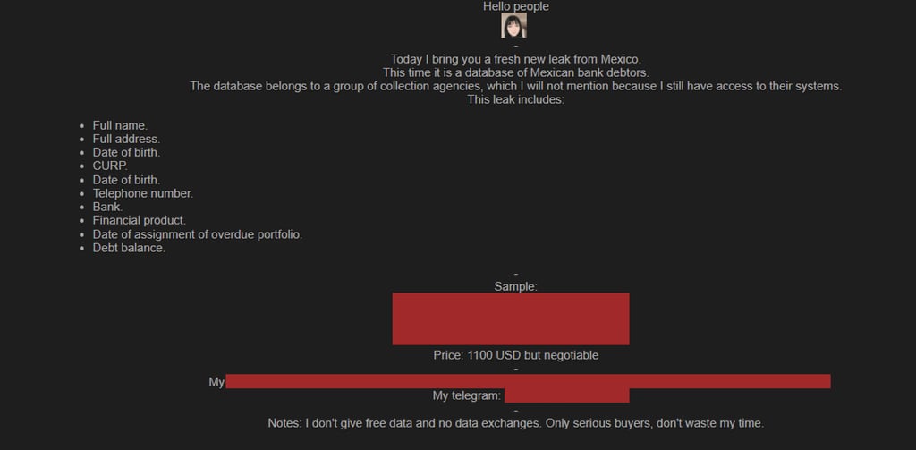 Screenshot of threat actors claims