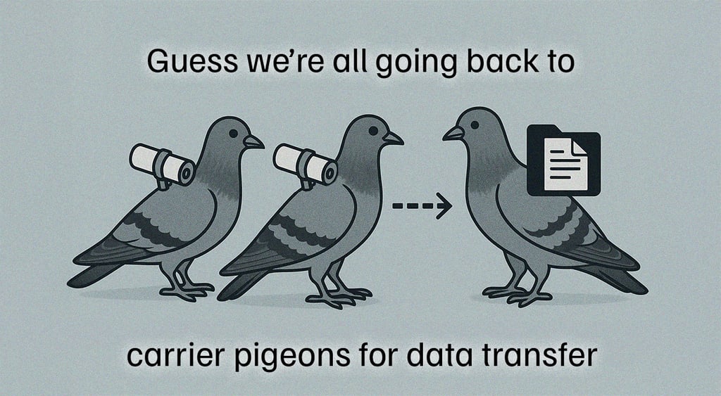 A pigeons meme, reflecting the AWS outage.