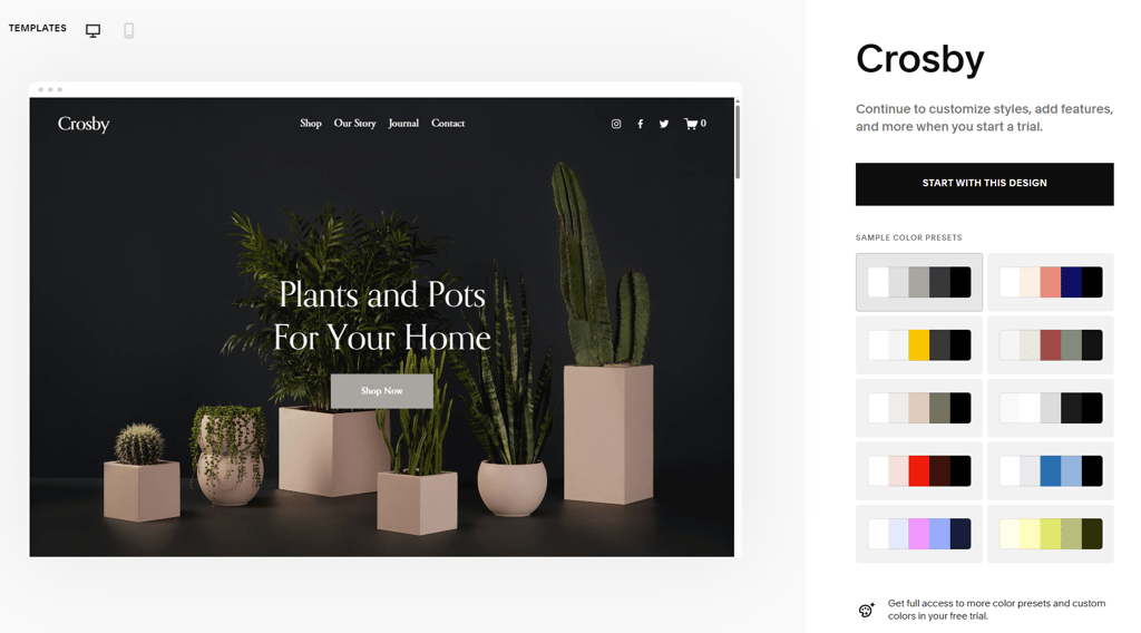 squarespace-color-presets-2025