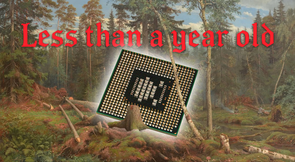 chip-laying-in-a-slavic-style-forest