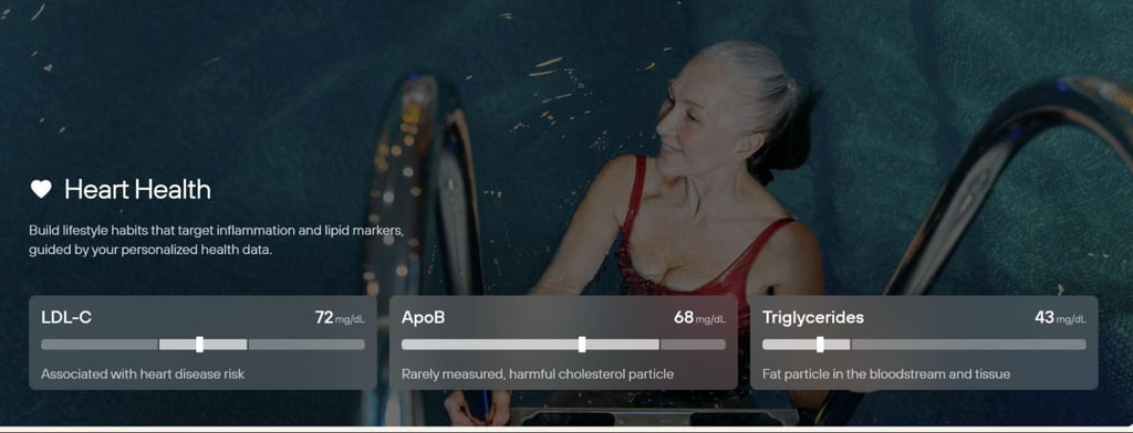 Levels official website, additional health measurements besides glucose level tracking