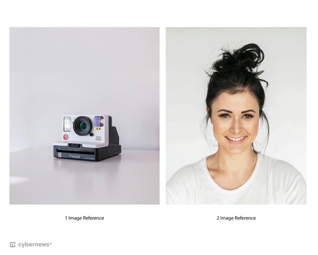 Reference Images