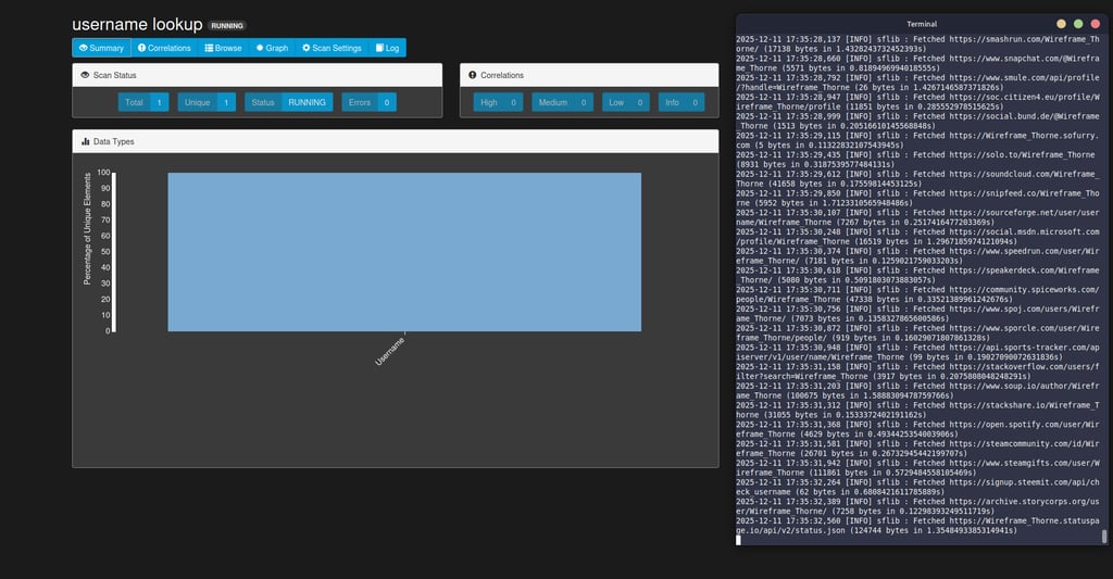 Searching for a username in SpiderFoot