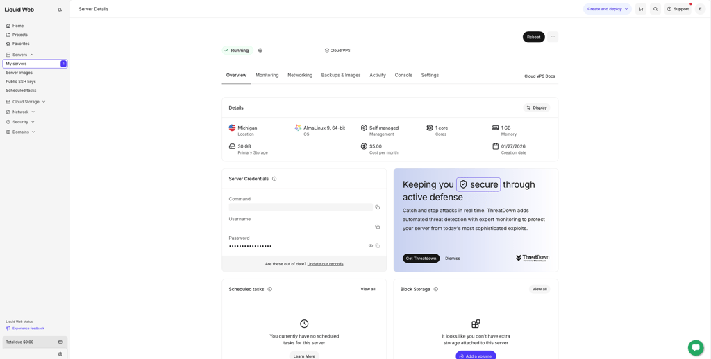 Liquid Web VPS interface