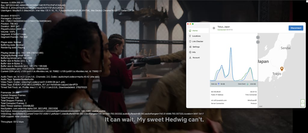 netflix with ipvanish on