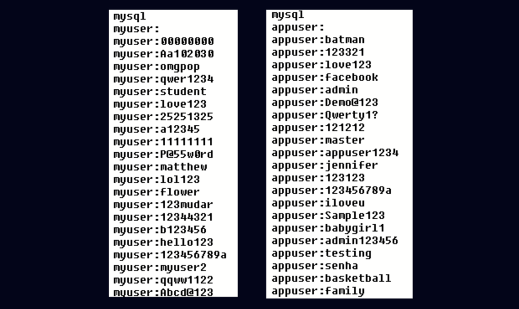 GoBruteforcer attacks