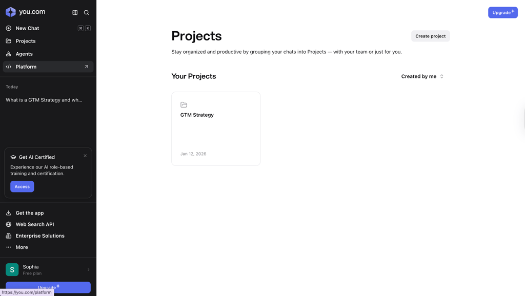 You.com Projects tab