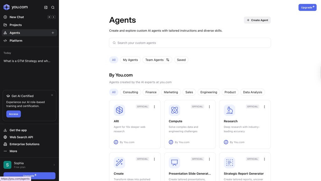 You.com web interface