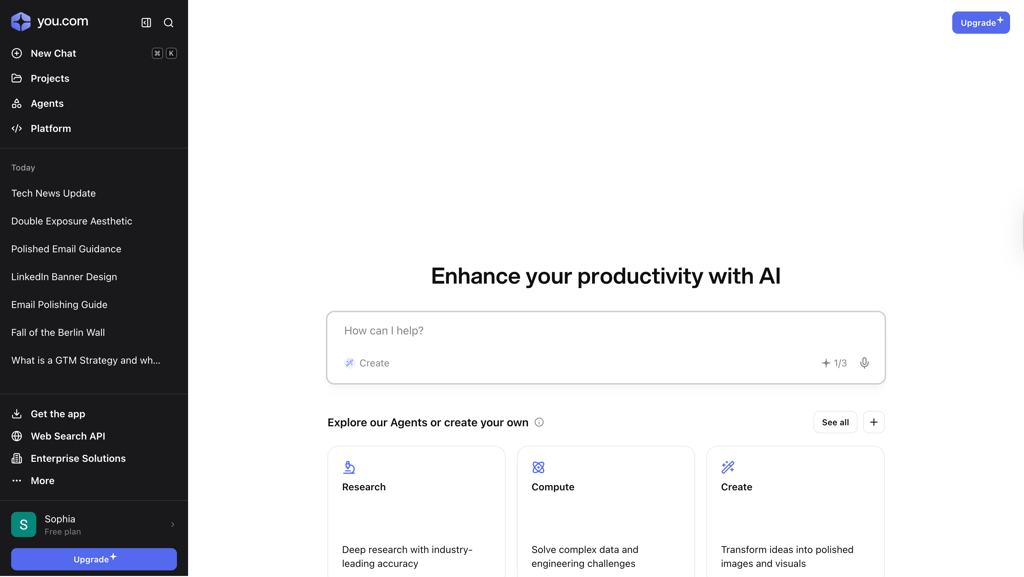 YouChat interface
