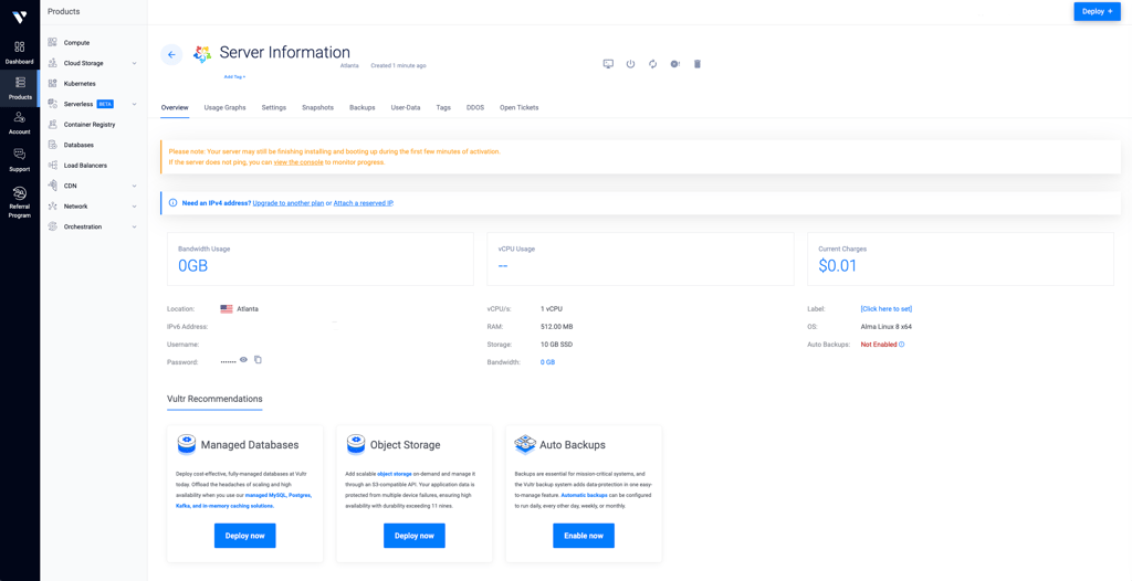 Vultr VPS interface