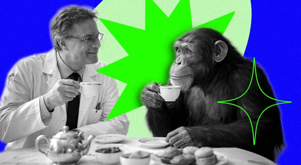 an-adult-ape-in-a-tea-party