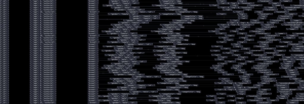 MobilMinds data leak
