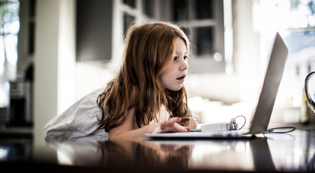 girl_laptop_online_brown_hair_minor