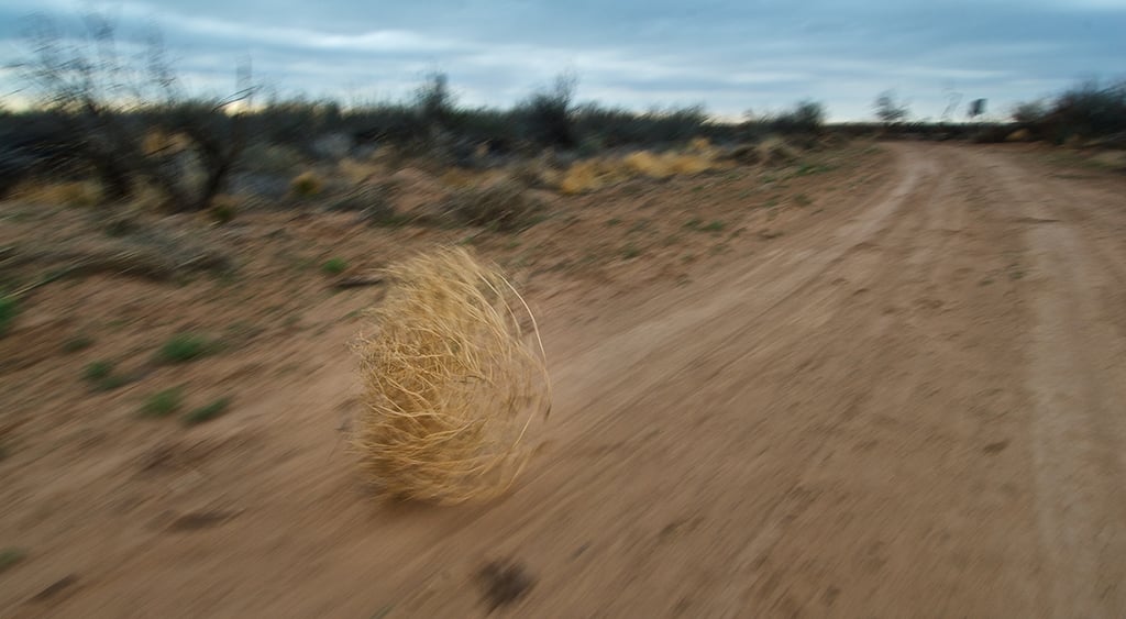 Tumbleweed