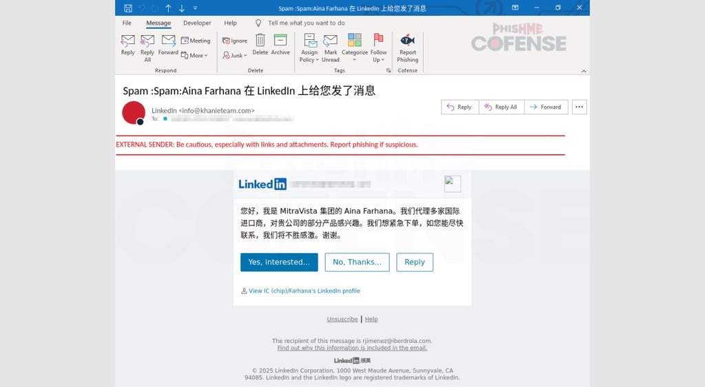 LinkedIn phishing attack 1
