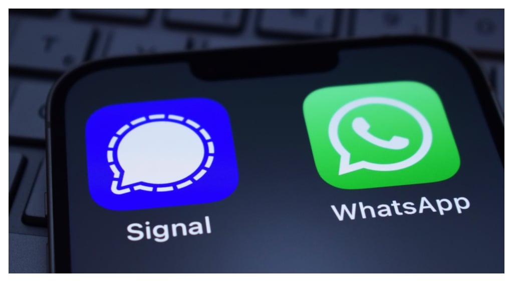 Signal WhatsApp