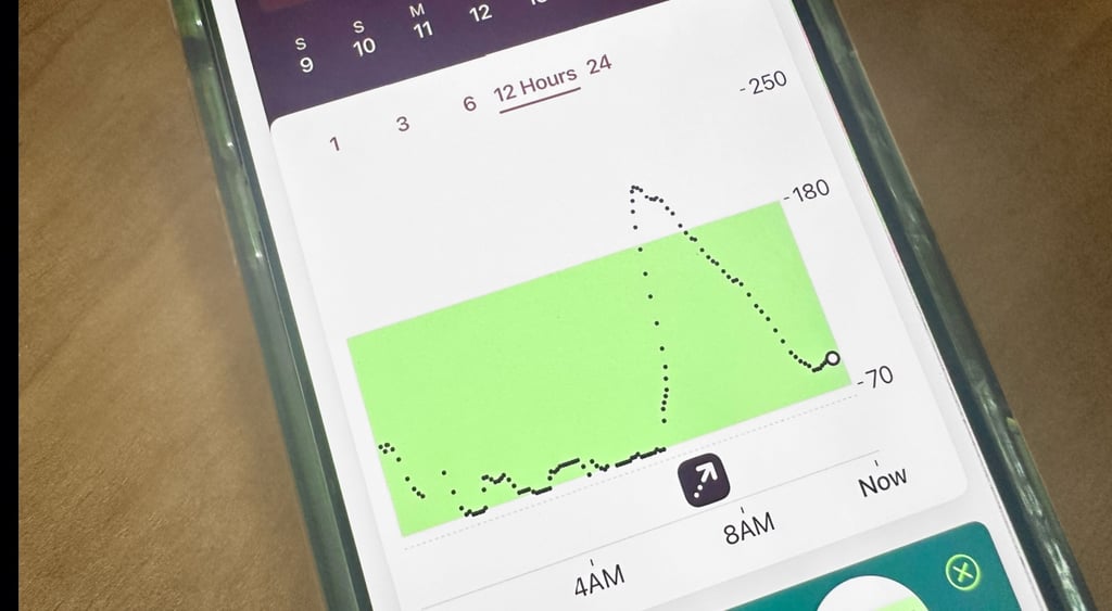 diabetes monitoring device, green and white screen, chart that goes up, red dotted line