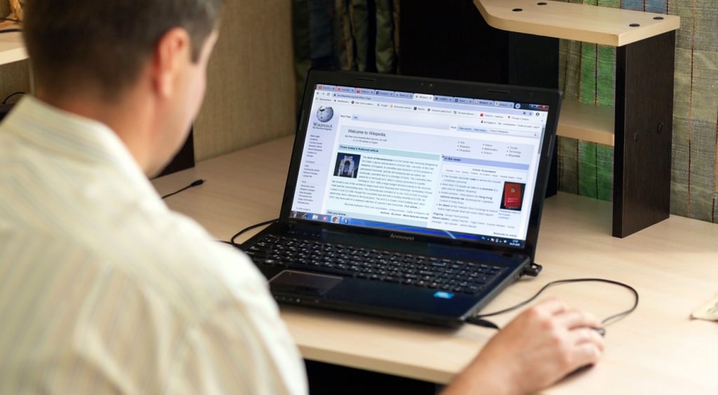 Person reading Wikipedia