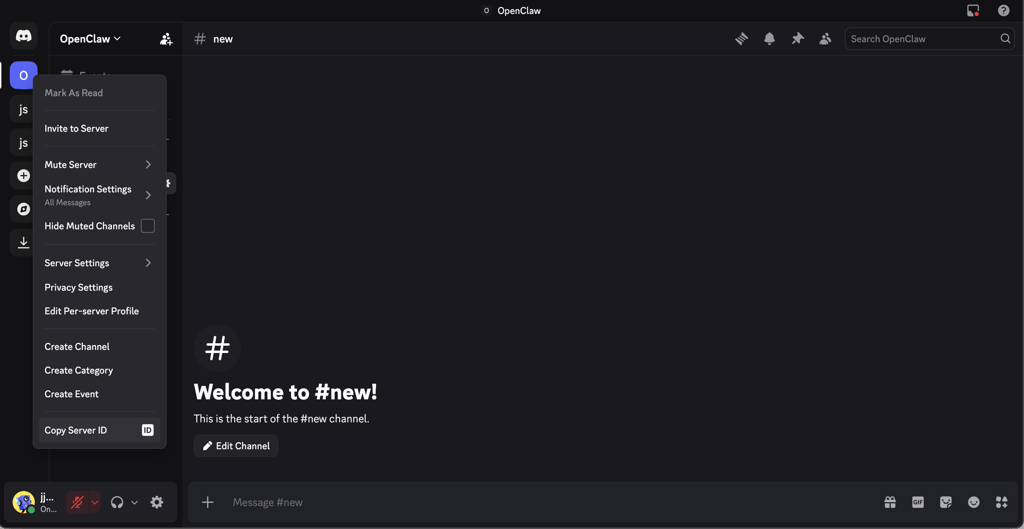 Copying Discord Server ID