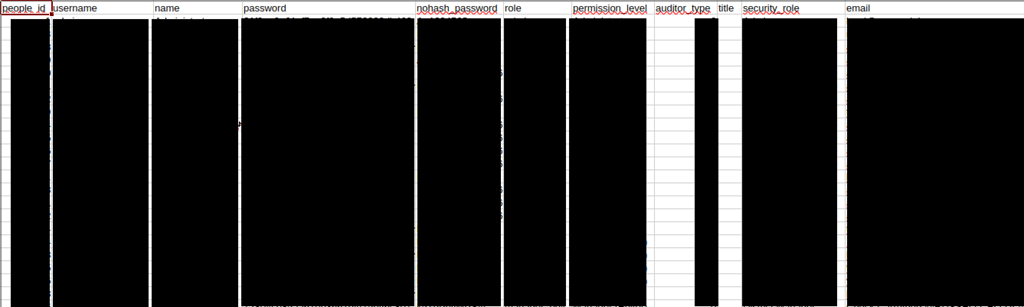 verizon retail data sample