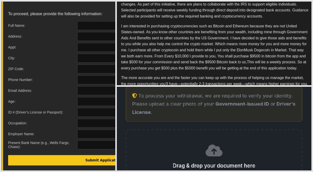 Musk IRS scam data harvesting