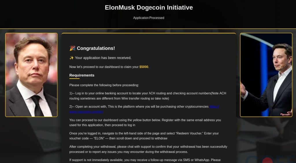 Musk IRS scam DOGEcoin initiative