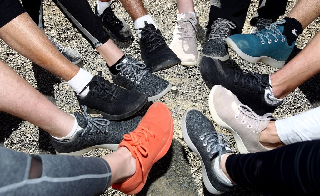 allbirds shoes circle