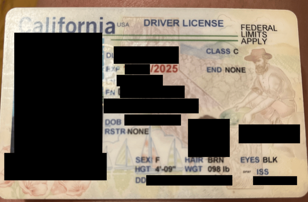 three tree passport