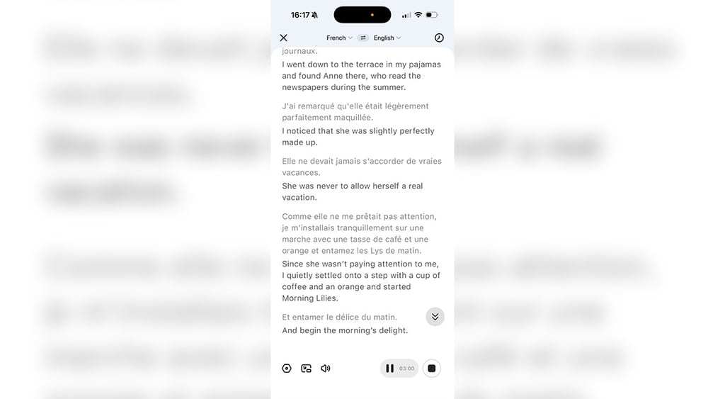 Screenshot of translation provided by earbuds