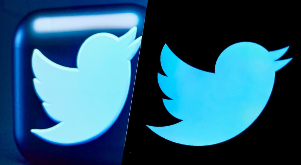 two blue birds, old Twitter logos, one is light baby blue, the other one is brigter