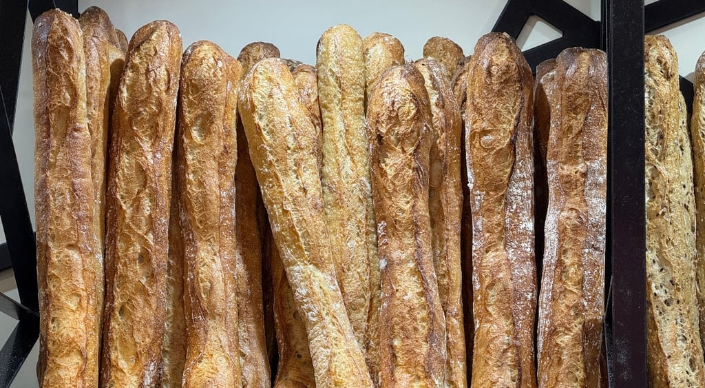 Several baguettes of the Tradition variety are for sale in a bakery.