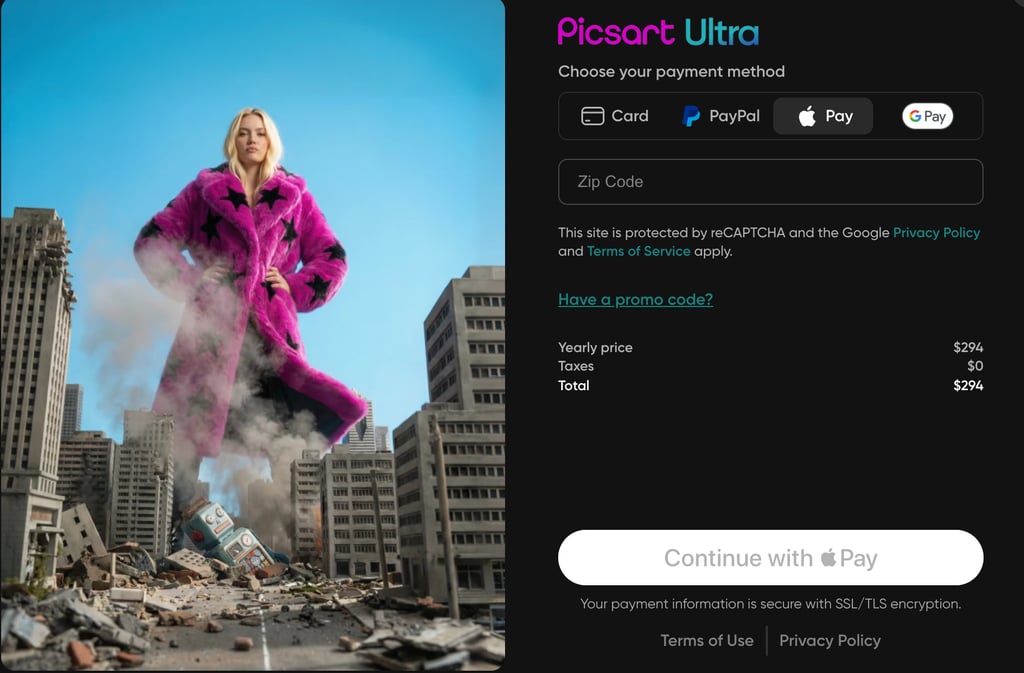 picsart checkout