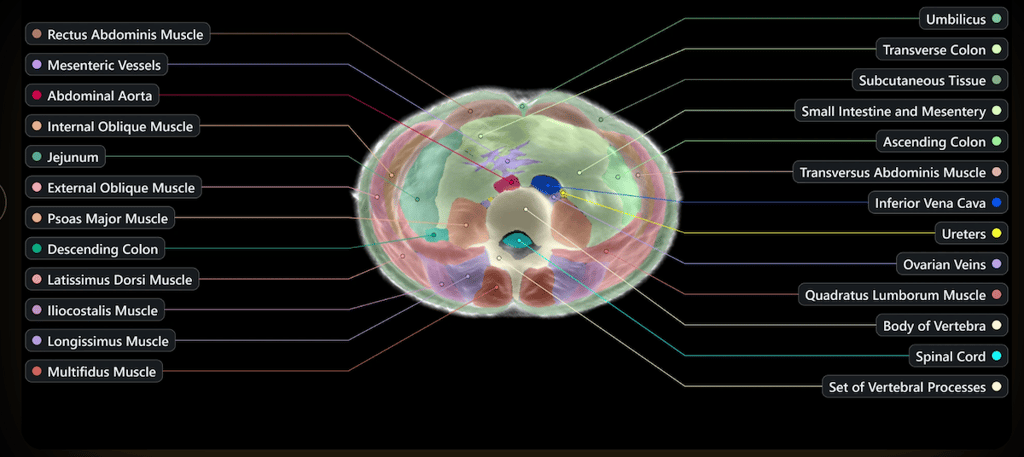 3d image midjourney scanner