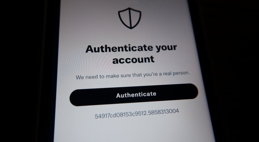 account verification