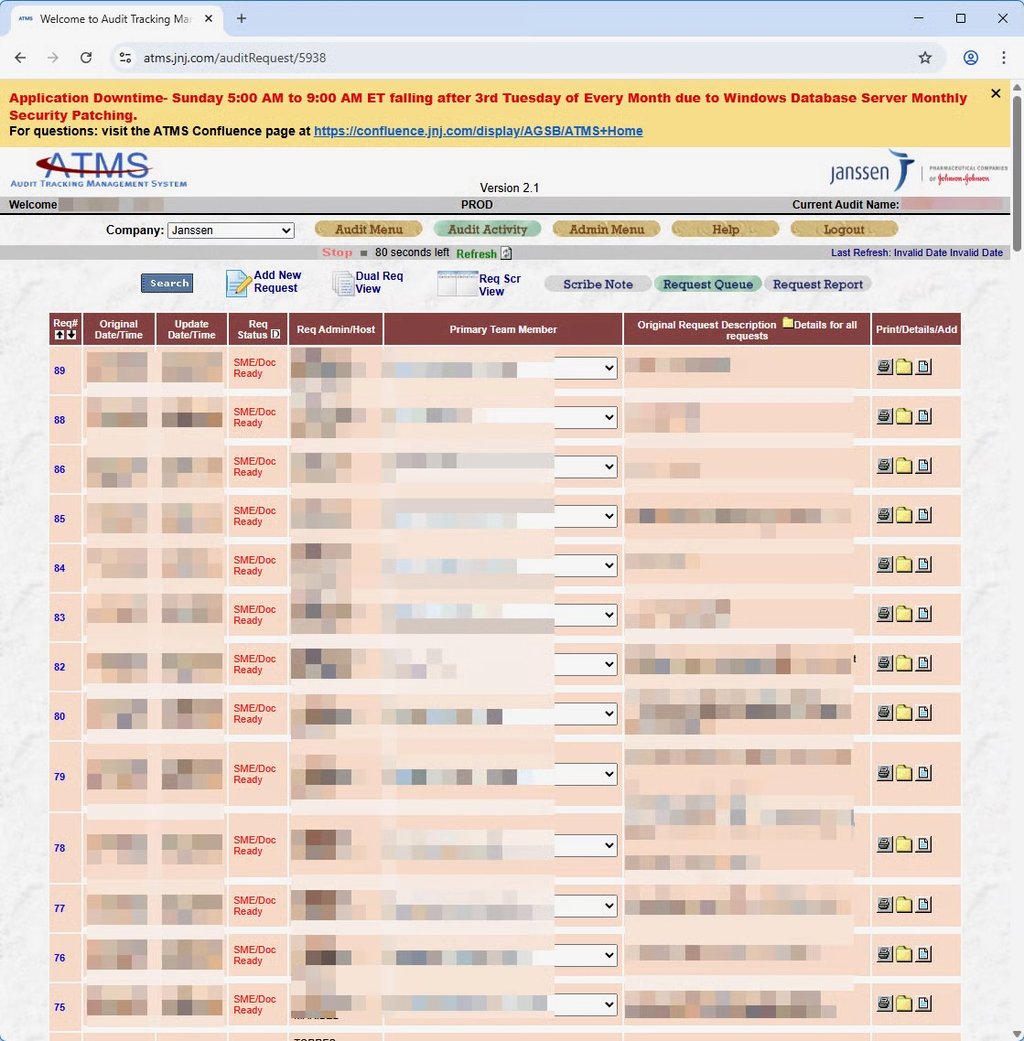 jnj audit