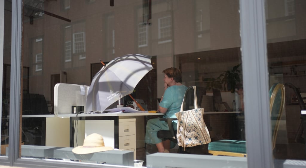 elder woman, office, wite desk, laptop, light green dress