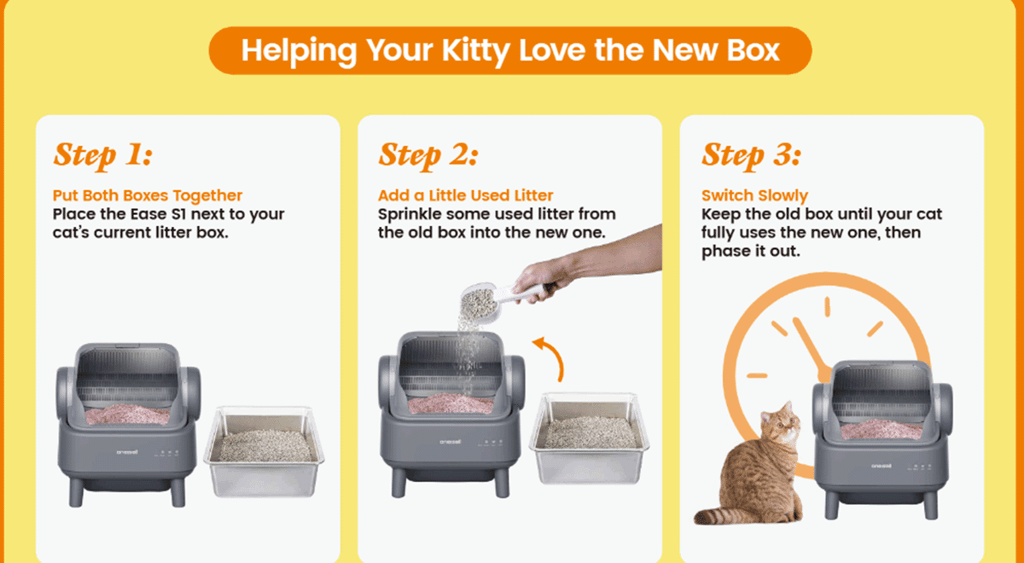 cat litter box adaptation guide