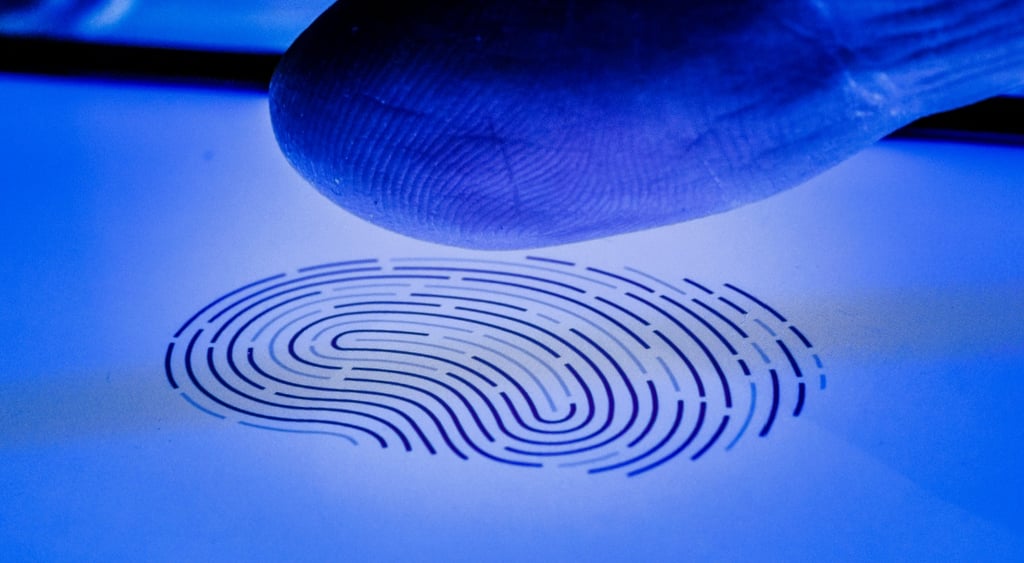 fingerprint on iphone white screen, lit in blue, white finger above the fingerprint also lit in blue