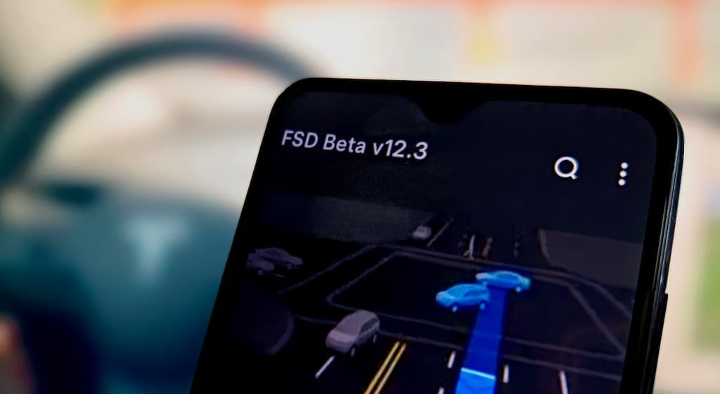 fsd beta v12